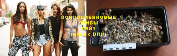 прущие крисы Алексин