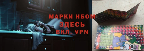 тгк Дмитров