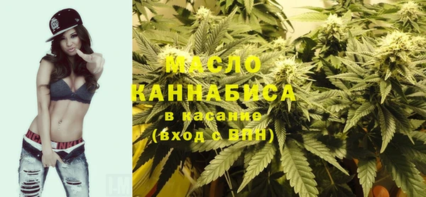индика Дмитриев